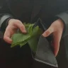 جودی ابوت